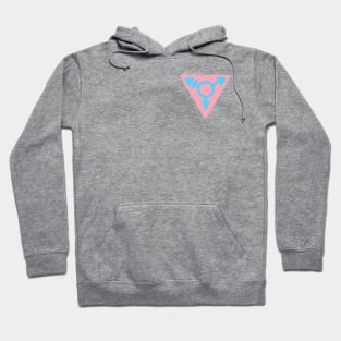 Pride Flag Color Variant of Nangeroni Trans Community Symbol Hoodie